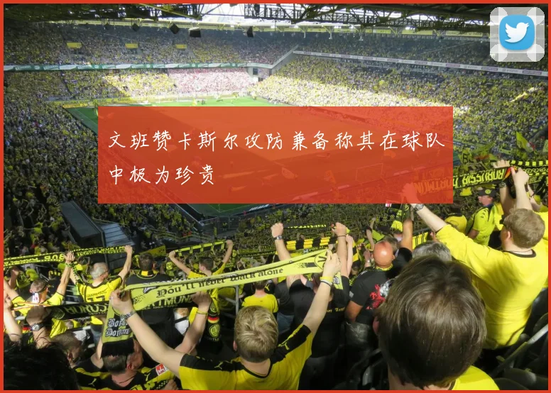 文班赞卡斯尔攻防兼备称其在球队中极为珍贵