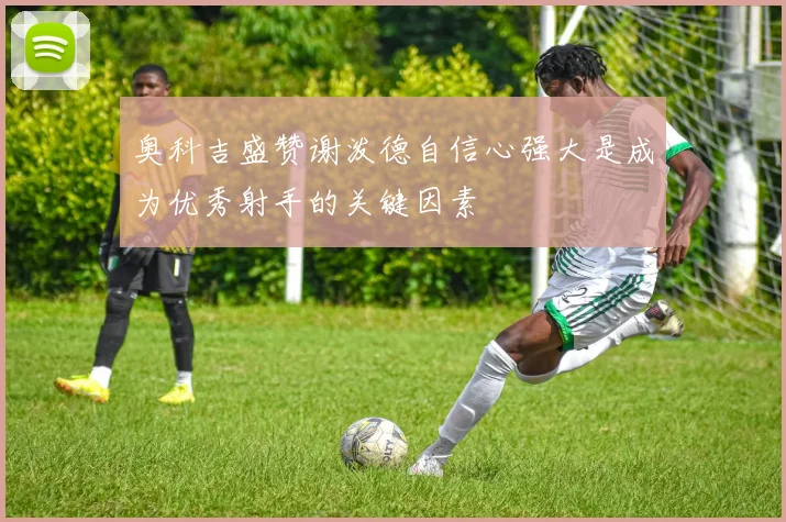 奥科吉盛赞谢泼德自信心强大是成为优秀射手的关键因素